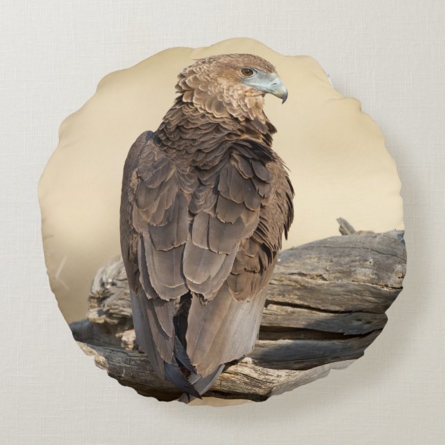 Young Bateleur Rond Kussen (Achterkant)