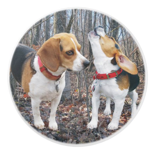 Young Beagles Woodland Ceramic Knob Keramische Knop (Voorkant)