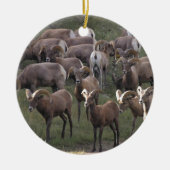 Young Bighorn Sheep Keramisch Ornament (Voorkant)