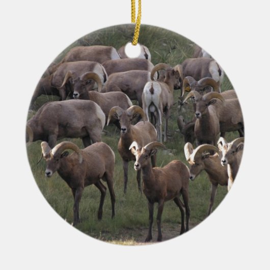 Young Bighorn Sheep Keramisch Ornament (Voorkant)