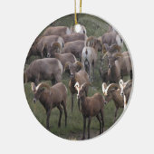 Young Bighorn Sheep Keramisch Ornament (Links)