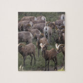 Young Bighorn Sheep Legpuzzel (Verticaal)