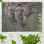 Young Bighorn Sheep Theedoek (Gevouwen)