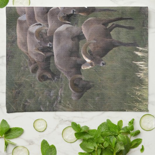 Young Bighorn Sheep Theedoek (Gevouwen)