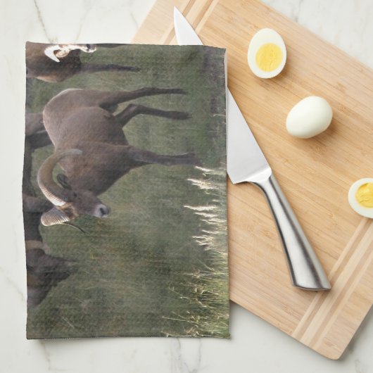 Young Bighorn Sheep Theedoek (Quarter Fold)