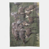 Young Bighorn Sheep Theedoek (Verticaal)