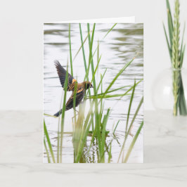 Young Bird in Flight Kaart