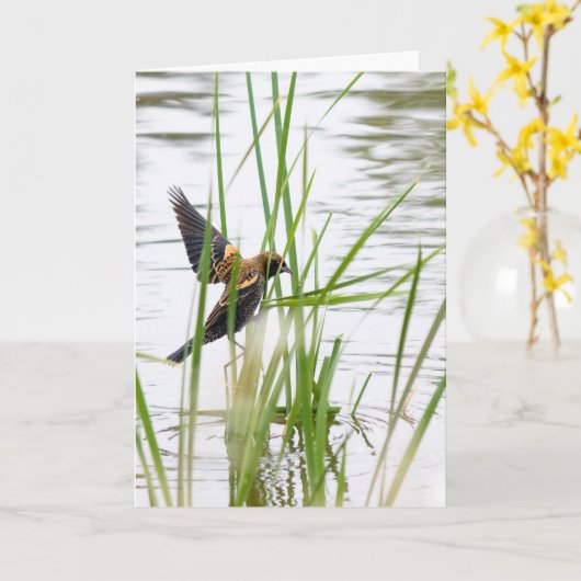 Young Bird in Flight Kaart (Gele Bloem)
