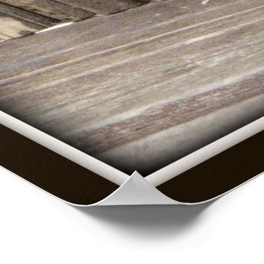 Young Black Leopard Poster (Hoek)