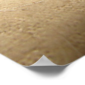 Young Black Racer Poster (Hoek)