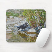 Young Black Raven Reflecteerde in Pool Muismat (Met muis)