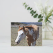 Young Blue Eyes Briefkaart (Staand voorkant)