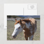 Young Blue Eyes Briefkaart (Voorkant / Achterkant)