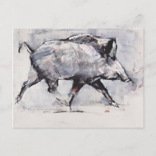 Young boar Bialowieza Poland Briefkaart