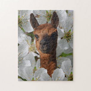 Young Brown Alpaca in White Blossom Legpuzzel