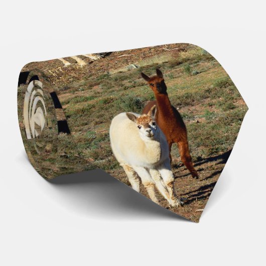 Young Brown and White Alpacas, Stropdas (Opgerold)