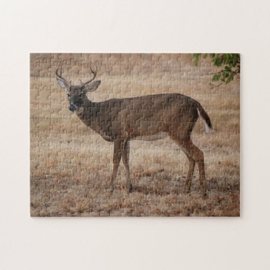 Young Buck Deer Texas Meadow Art Puzzel Legpuzzel (Horizontaal)