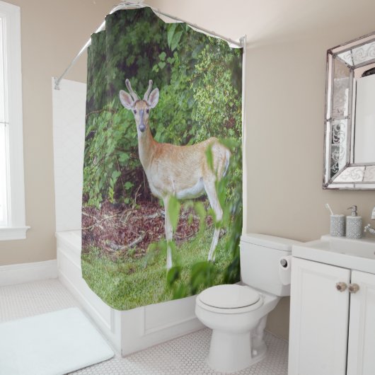 Young Buck in Velvet Douchegordijn (In situ)