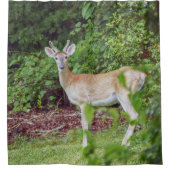 Young Buck in Velvet Douchegordijn (Voorkant)