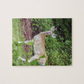 Young Buck in Velvet Legpuzzel (Horizontaal)