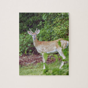 Young Buck in Velvet Legpuzzel