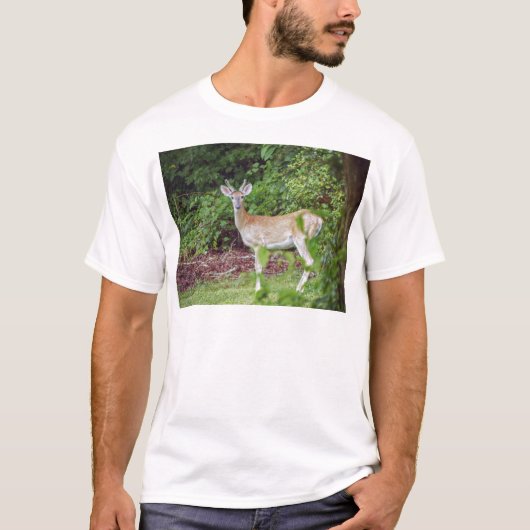 Young Buck in Velvet T-shirt (Voorkant)