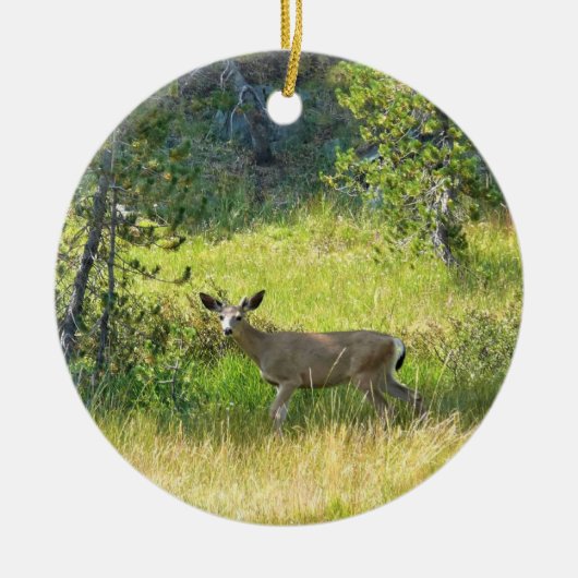 Young Buck in Yosemite, CA Keramisch Ornament (Voorkant)