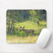 Young Buck in Yosemite, CA Muismat (Met muis)