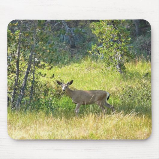 Young Buck in Yosemite, CA Muismat (Voorkant)