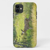 Young Buck in Yosemite, Californië Case-Mate iPhone Case (Achterkant)