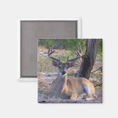 Young Buck Magnet (Voorkant / Achterkant)
