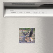 Young Buck Magnet (Insitu (Vaatwasser))