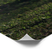 Young Buck Poster (Hoek)