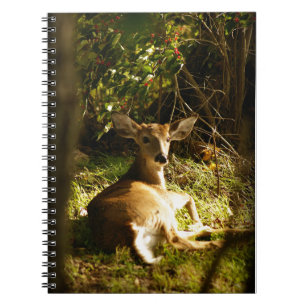 Young Buck Spiral Foto Notitieboek