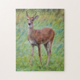 Young Buck Wild Deer Natuur Puzzel
