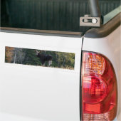 Young   bumpersticker (Op Truck)