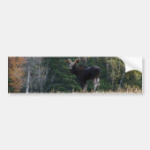 Young   bumpersticker (Voorkant)