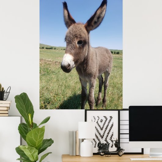 Young Burro, Custer State Park, South Dakota Poster (Thuiskantoor)