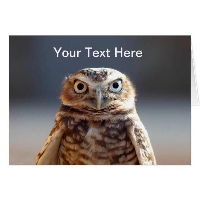 Young Burrowing Owl (Voorkant Horizontaal)