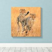 Young Cheetahs (gemeente) Running Canvas Afdruk (Insitu (Houten vloer))