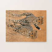 Young Cheetahs (gemeente) Running Legpuzzel (Horizontaal)