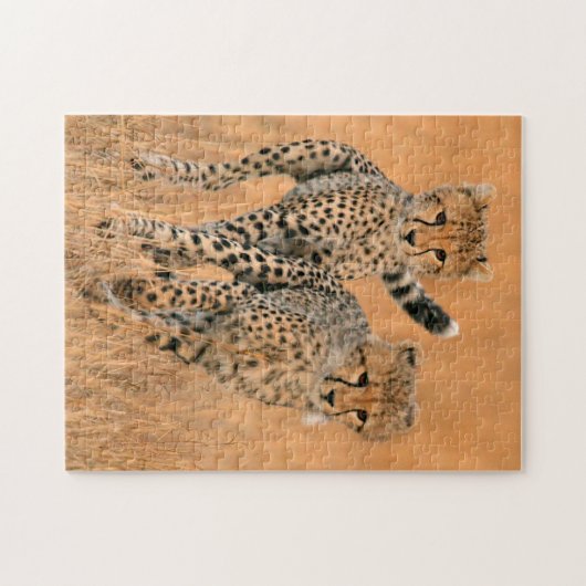 Young Cheetahs (gemeente) Running Legpuzzel (Horizontaal)