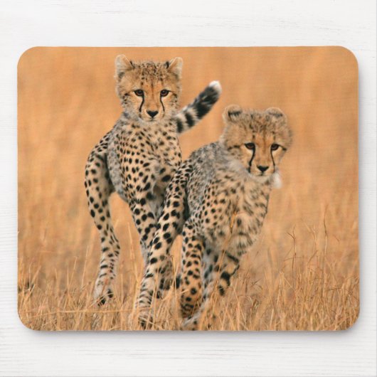 Young Cheetahs (gemeente) Running Muismat (Voorkant)