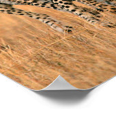 Young Cheetahs (gemeente) Running Poster (Hoek)