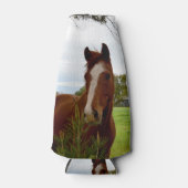 Young Chestnut Horse Sniffing Banksia Tree Flesjeskoeler (Voorkant)