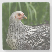 Young Chicken Stenen Onderzetter (Voorkant)