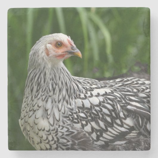 Young Chicken Stenen Onderzetter (Voorkant)