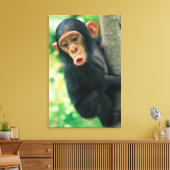Young Chimpansee (Pan troglodytes) Canvas Afdruk (Insitu (Woonkamer))