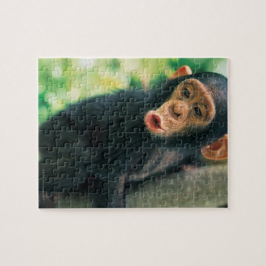 Young Chimpansee (Pan troglodytes) Legpuzzel (Horizontaal)