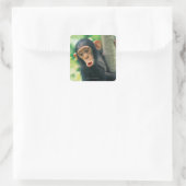 Young Chimpansee (Pan troglodytes) Vierkante Sticker (Tas)